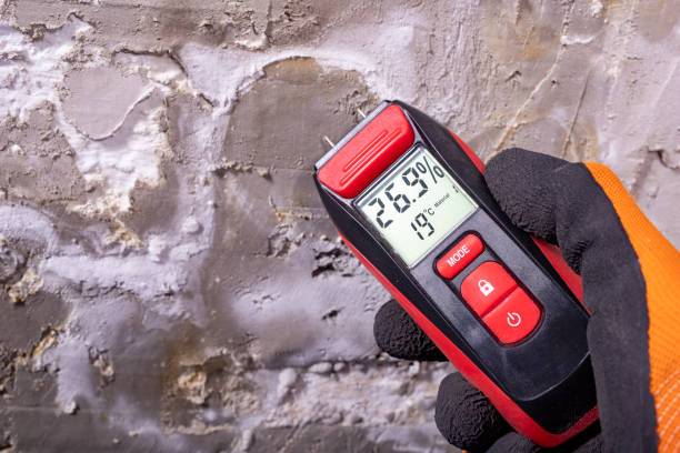 Reliable Randolph, NE Mold Removal Solutions