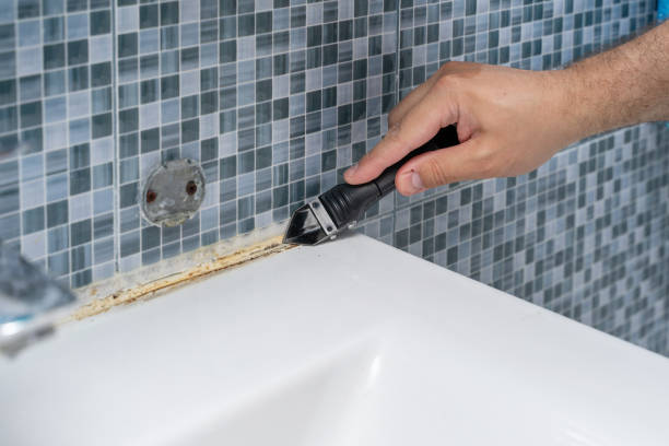 Mold Removal Process in Randolph, NE